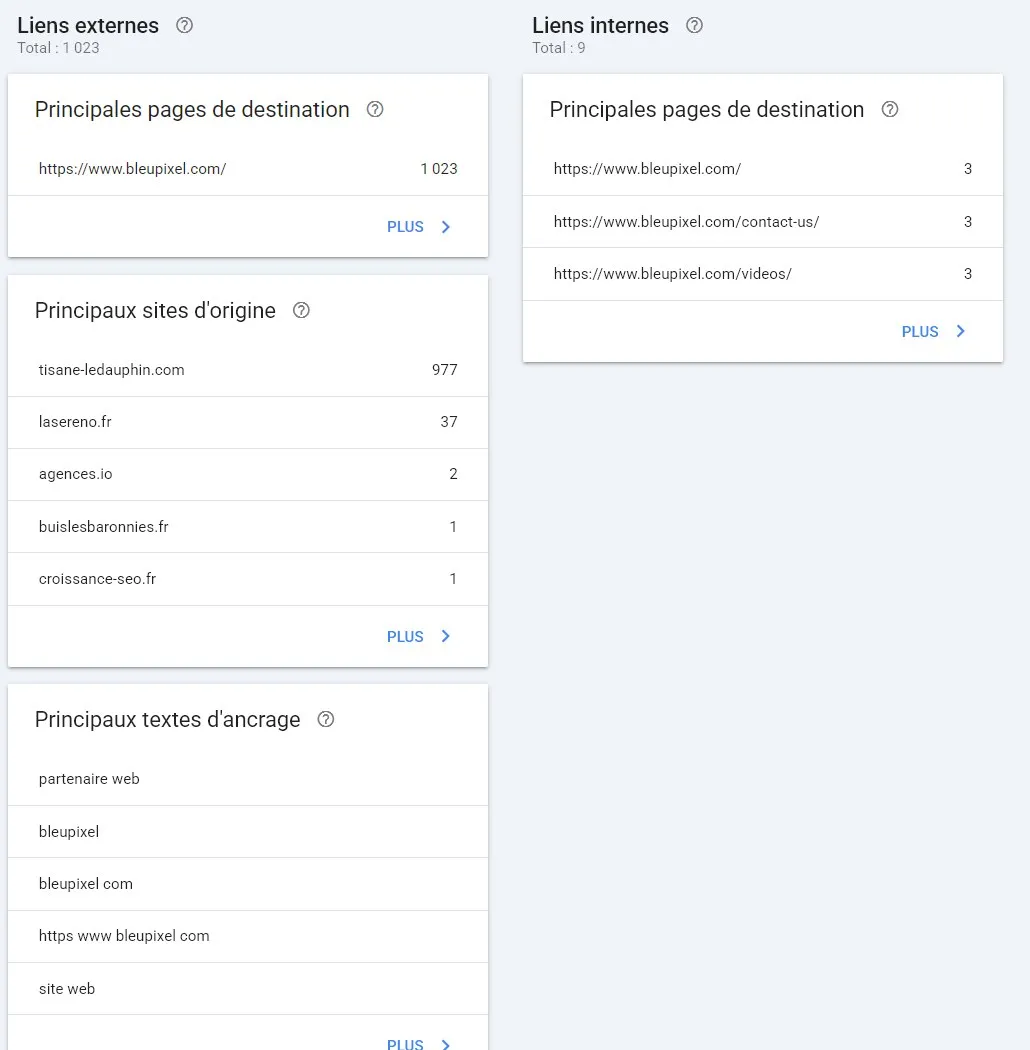 Rapport Liens de Search Console de Bleupixel